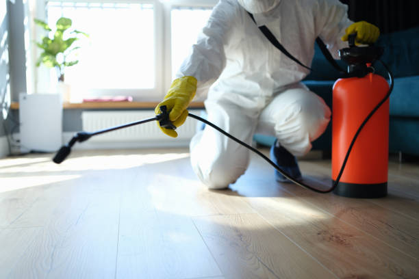 Best Pest Prevention Services  in Lake Arrowhead, ME