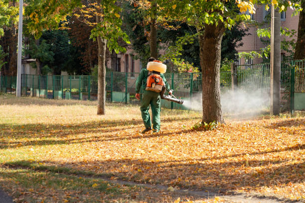Pest Control Cost in Lake Arrowhead, ME